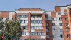 Почему не стоит заводить капибару дома