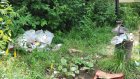 Экопарк «Ласточкины горы» завалили мусором