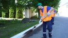 В Пензенской области нашли работу на лето более 3 тысяч подростков