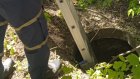 На улице Аустрина собака провалилась в 2-метровый колодец