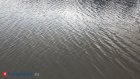 В двух реках Пензенской области улучшилось качество воды