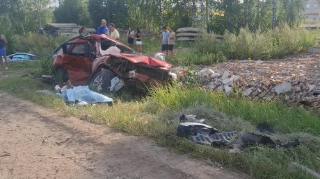 Появились новые кадры с мест трагедий в Пензенском районе