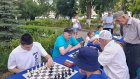 В Пензе для любителей шахмат организуют игры на свежем воздухе