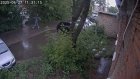 У 70-летней пензячки на улице отняли 10 млн рублей