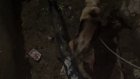 Ремонт водопровода: в Сурске в вырытую яму провалился пес