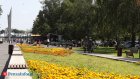 1 августа температура в Пензенской области поднимется до 31 градуса