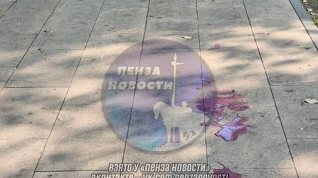 Глава СКР отреагировал на нападение собаки на пенсионерку в Пензе