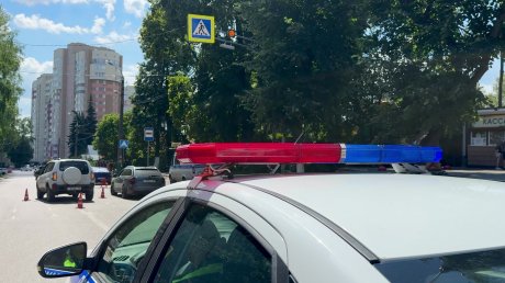 В Пензе около зоопарка сбили 3-летнюю девочку