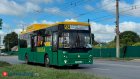 Новый автобусный маршрут № 134: точное расписание движения
