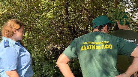 В Заре из-за прорыва канализации загрязняется водоем