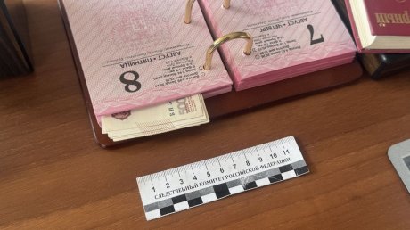 В Пензе задержали начальника управления культуры