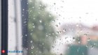 14 августа пензенцам не стоит забывать дома зонты