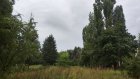15 августа местами по Пензенской области ожидается гроза