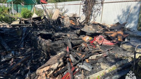 Пожар в СНТ в Кузнецком районе потушили 7 человек