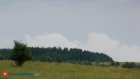 В российском лесу нашли пропавшую 110-летнюю пенсионерку