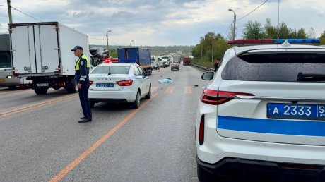 В ГАИ прокомментировали трагедию с женщиной на М-5