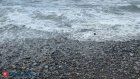 Туристов попросили надевать бахилы перед посещением пляжа в Анапе