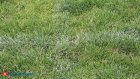 В Пензе тестируют комплекс для фиксации нарушений благоустройства