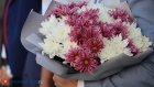 В минобре рассказали о рекомендациях по линейкам в День знаний