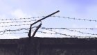 В Госдуме предложили сажать «черных вдов» на 10 лет