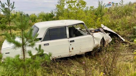 В Никольском районе подросток-водитель врезался в столб