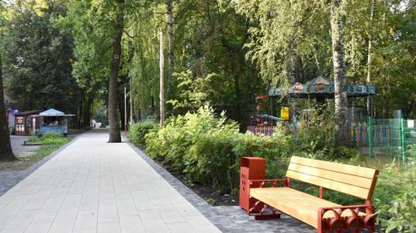 Обновленные аллеи в парке Белинского планируют сдать в сентябре
