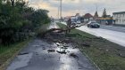 Последствия непогоды: с улиц Пензы вывозят поврежденные деревья