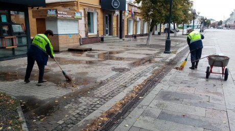 Последствия непогоды: с улиц Пензы вывозят поврежденные деревья