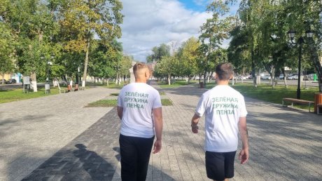 В Пушкинском сквере вырубят больше деревьев, чем предполагали