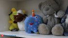 В Пензе готовят в социальные няни 39 человек