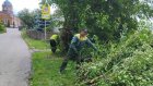 В Пензе коммунальщики улучшают видимость дорожных знаков
