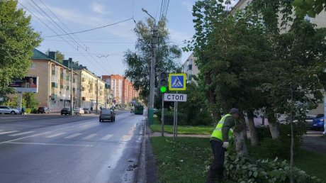 В Пензе коммунальщики улучшают видимость дорожных знаков