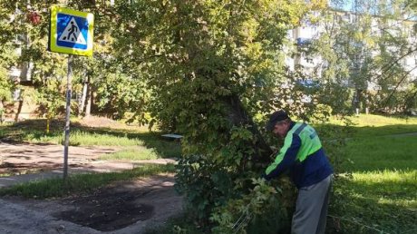 В Пензе коммунальщики улучшают видимость дорожных знаков