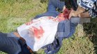 На главу Каменского района Александра Помогайбо напали