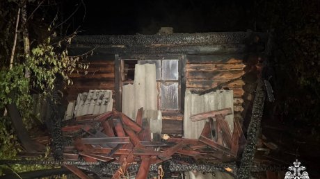 В Сосновоборске сгорел сарай с автомобилем