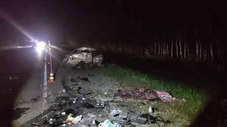 В Малосердобинском районе в ДТП погибли 2 водителя