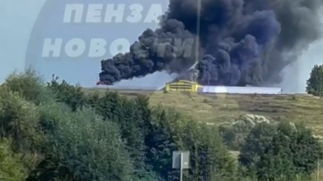 В Белинском районе вблизи трассы случился серьезный пожар