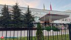 В Пензе насчитали более 200 аварийных деревьев около школ