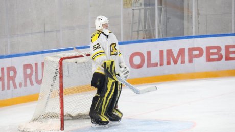 Пензенцы не смогли завоевать кубок «Дизеля»
