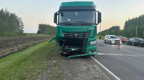 В Иссинском районе погибли водитель и пассажирка Harley-Davidson