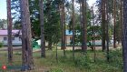 Летом в лагерях отдохнули почти 18 000 пензенских детей