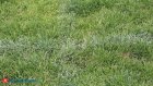 Российскую школьницу жестоко избили на стадионе
