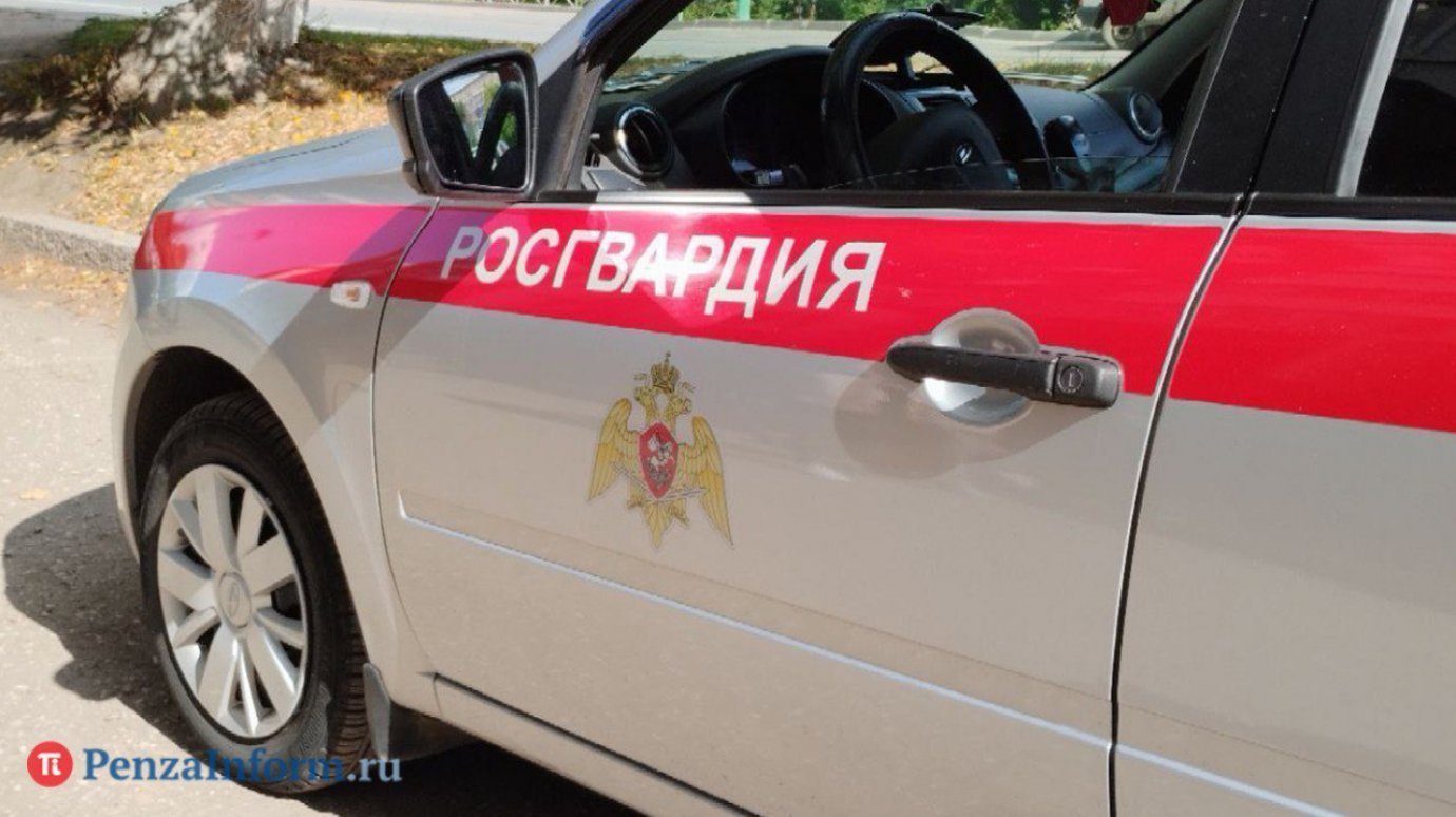 Пензенец 1 сентября устроил дебош в центре города