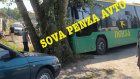 Автобус врезался в дерево: стали известны подробности ДТП на Шуисте