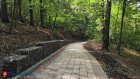 2 сентября в Пензенской области станет немного прохладнее
