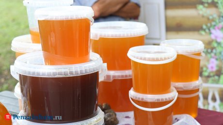 Каждый шестой производитель меда в регионе оказался нарушителем