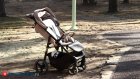 Региональный семейный капитал: от родителей будут ждать заявлений