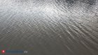 В Каменском районе в воде погиб мужчина