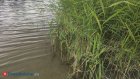 Следователи начали проверку по факту гибели мужчины в реке Ключи