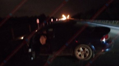 В ДТП на трассе в Городищенском районе погибла корова